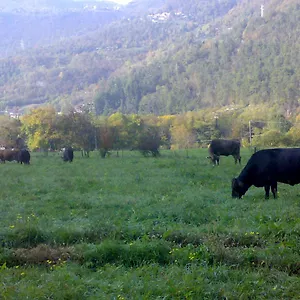 Agriturismo Biobio , Vobarno Italie