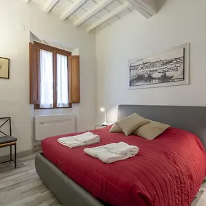 Ponte Vecchio's Nest , Florence Italie